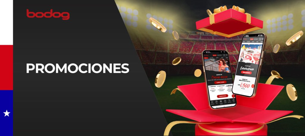 BODOG