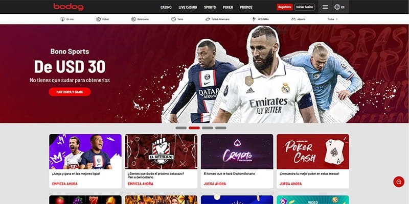 bodog en chile