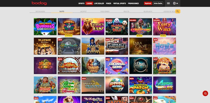 bodog oferta casino online