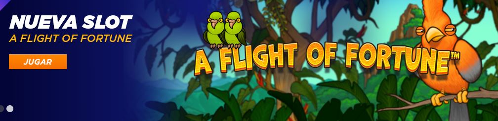 A Flight of Fortune
